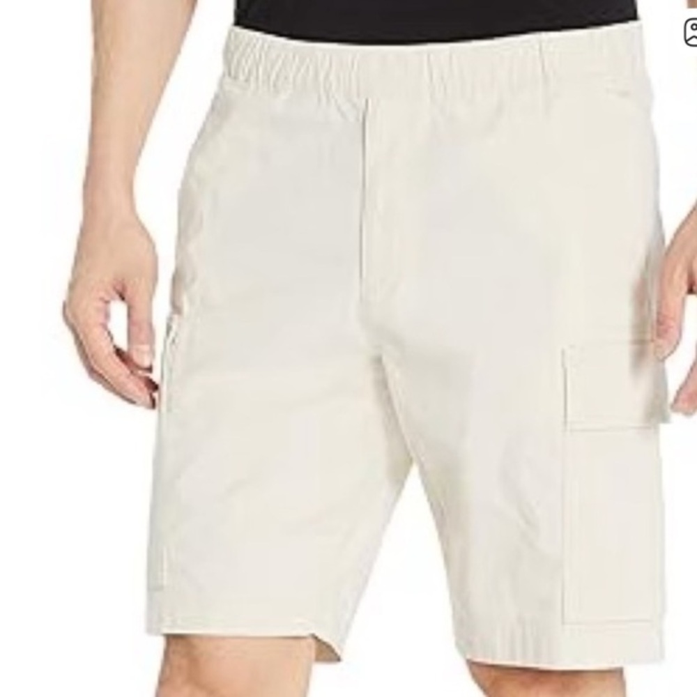 Theory Mens cargo shorts